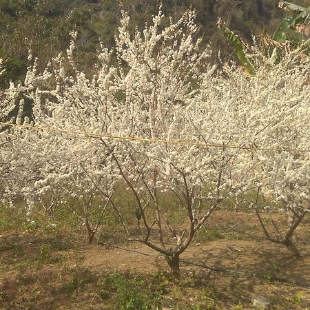 Trieu Chuong Homestay Cao Bang Buitenkant foto