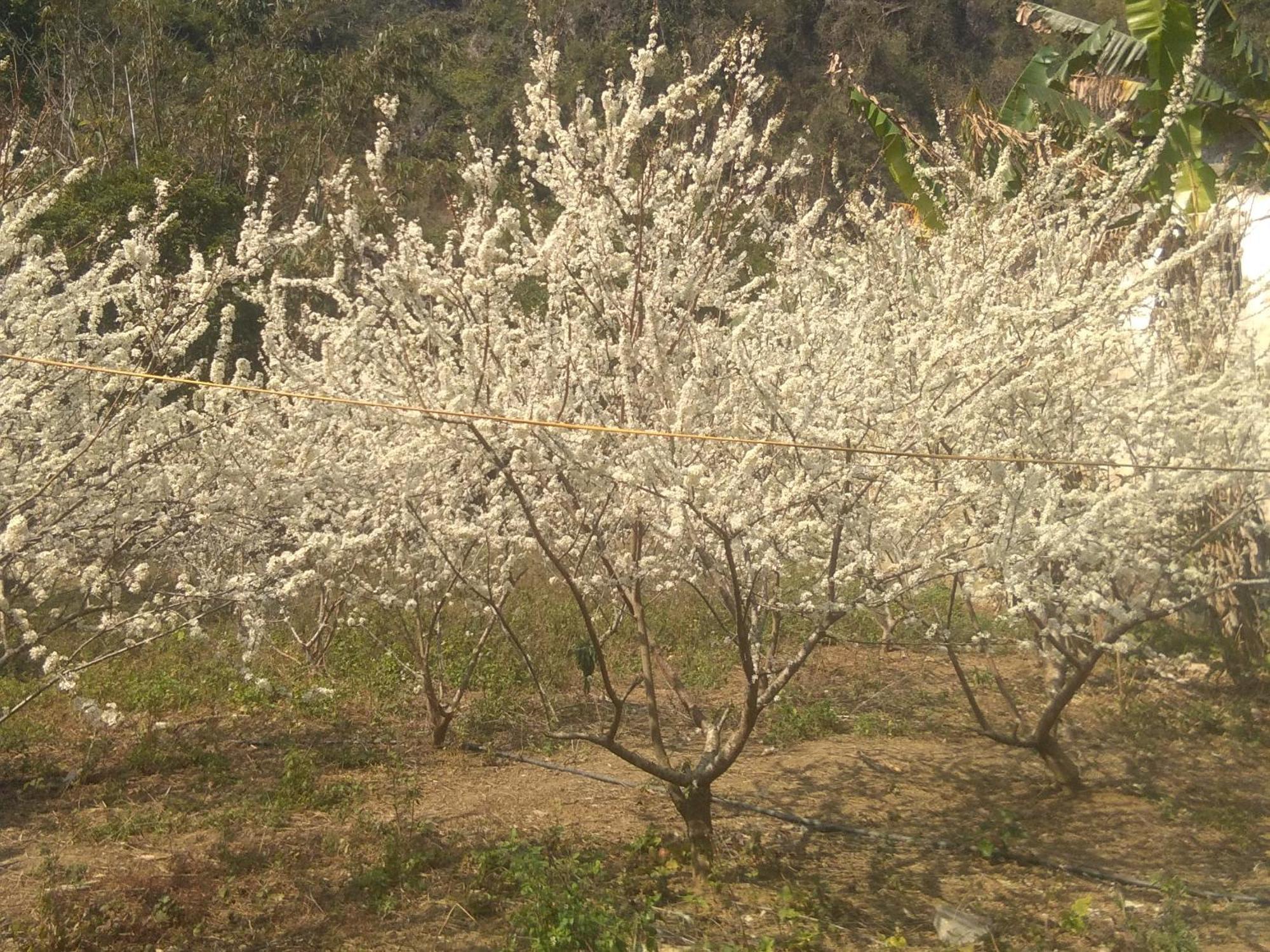 Trieu Chuong Homestay Cao Bang Buitenkant foto